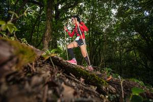 BIB: 000
                            <button type="button" onclick="openModal(16007892)" class="btn btn-primary btn-sm float-right btn-popup" data-toggle="modal" data-target=".modal-high-quality">
                        <i class="fas fa-shopping-cart"></i> Add to Cart
                    </button>
                                            <button type="button" onclick="isThisMe(16007892, true)" class="btn btn-success btn-sm float-right btn-popup btn-isme hidden" data-toggle="tooltip" data-placement="bottom" title="นี่คือรูปของคุณใช่ไหม คลิกที่นี่เพื่อเอาเข้าอัลบั้ม">
                        <i class="fas fa-plus"></i> Add to album
                    </button>
                    <button type="button" onclick="isThisMe(16007892, false)" class="btn btn-warning btn-sm float-right btn-popup btn-isnotme hidden">
                        <i class="fas fa-ban"></i> Remove from album
                    </button>